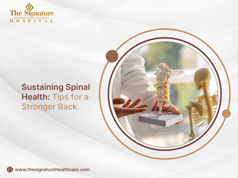 Sustaining Spinal Health: Tips for a Stronger Back