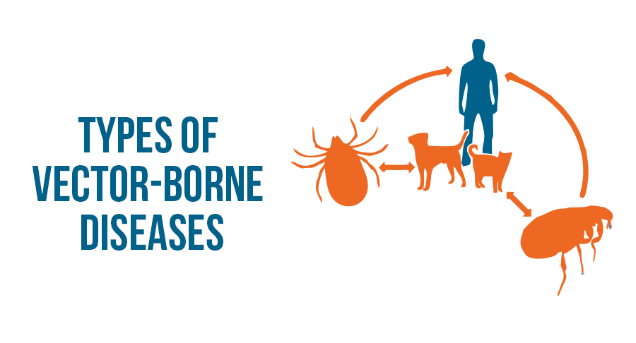 What are the Vector-Borne Diseases?